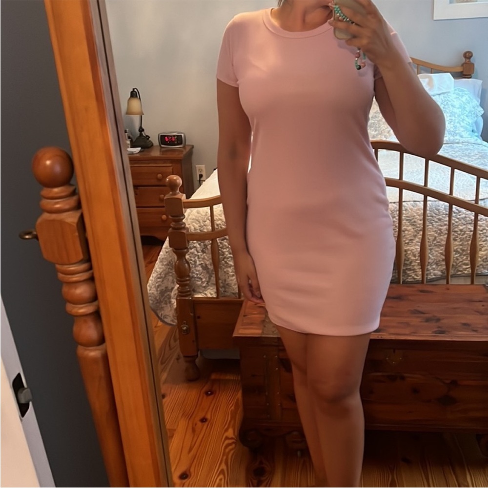 Wild Fable Soft Pink Mini Dress